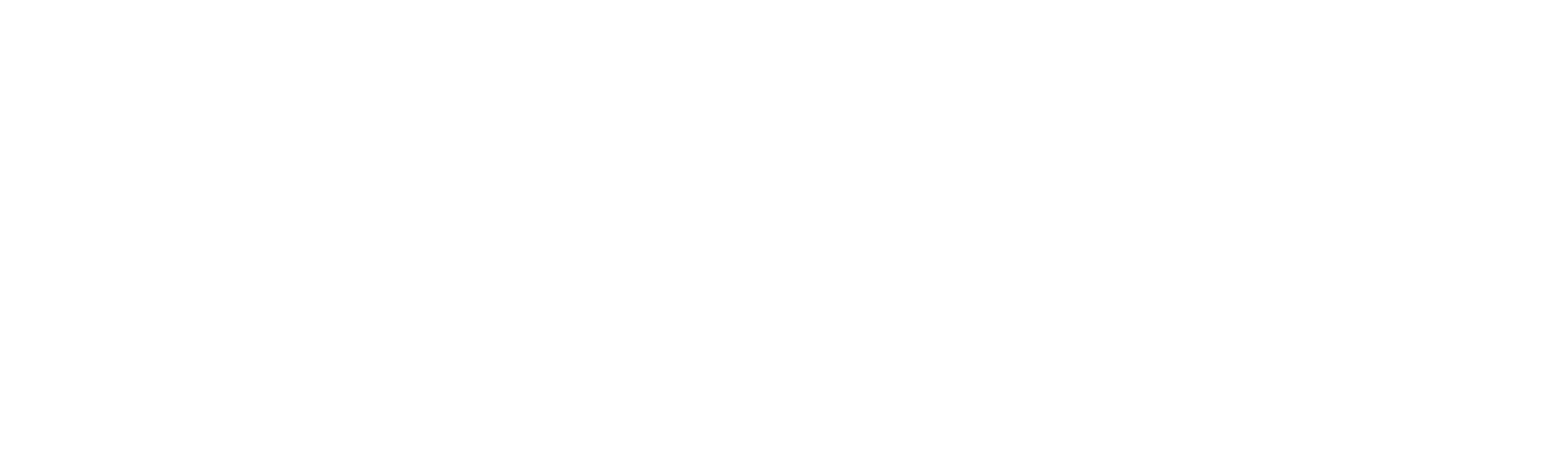 LogoAccelerator